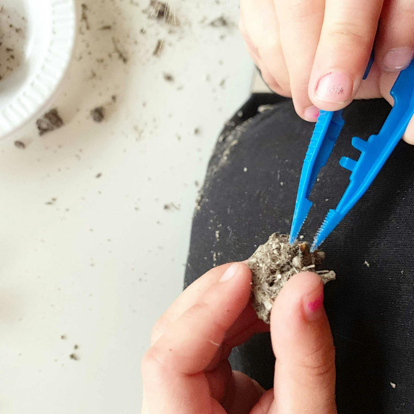 Pellet Mystery Science Lab Kit