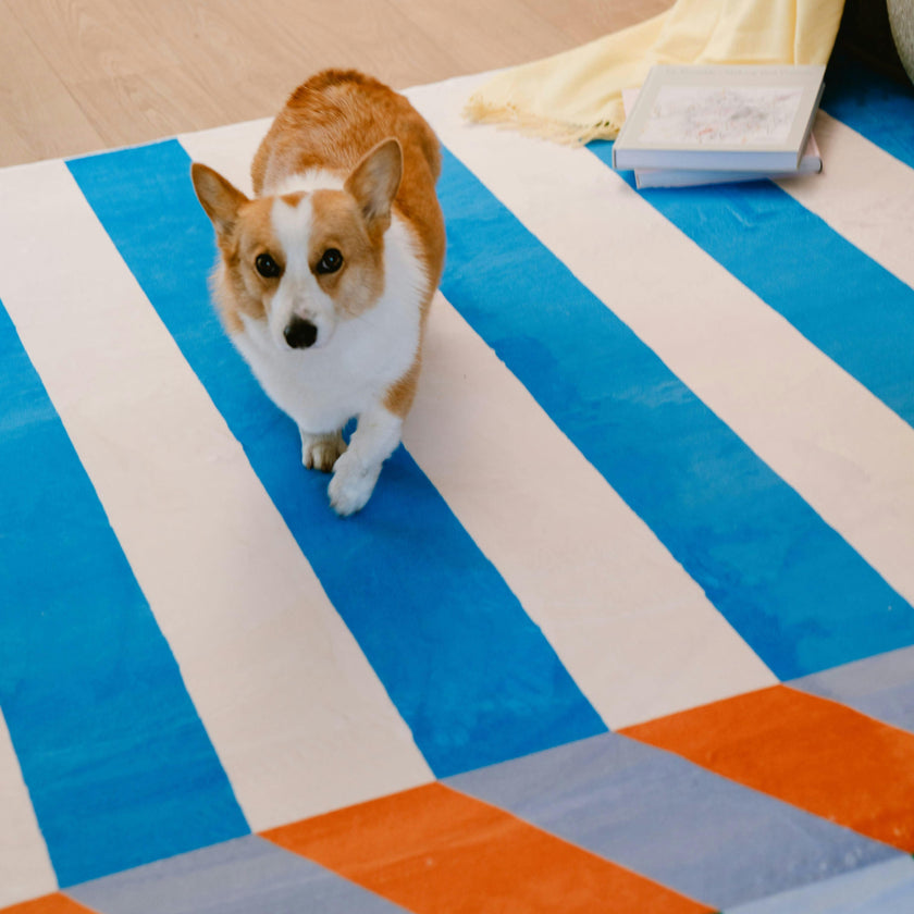 Illusion Stripe Modern Rug