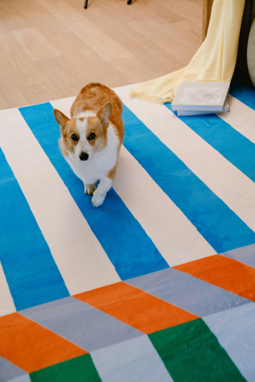 Illusion Stripe Modern Rug