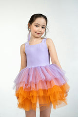 Lilac Viola Tutu Dress