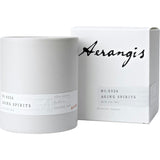 No. 0324 Aging Spirits Candle