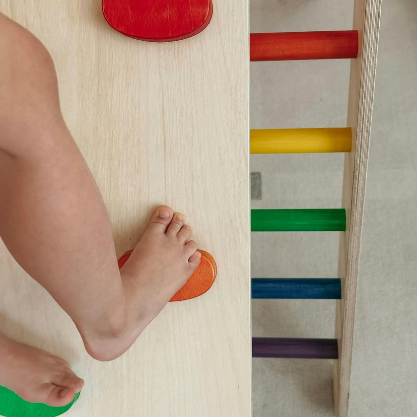 Classic Climber Playset