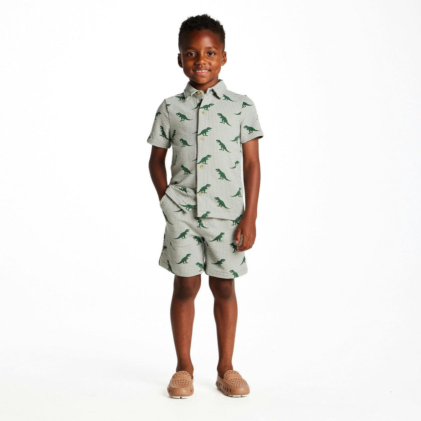 Boys Short Sleeve Cabana Set | Green Stripe Dino