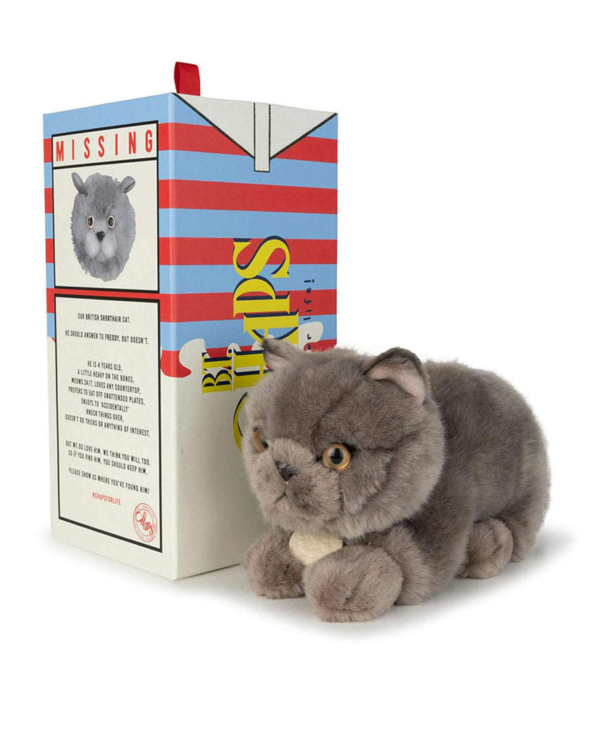 Plush BT CHAPS Freddy the British Shorthair in giftbox ECO 7"