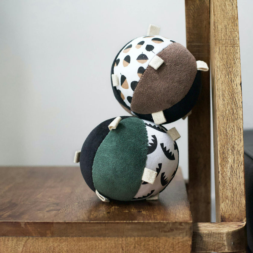 Taggy Ball with Rattle