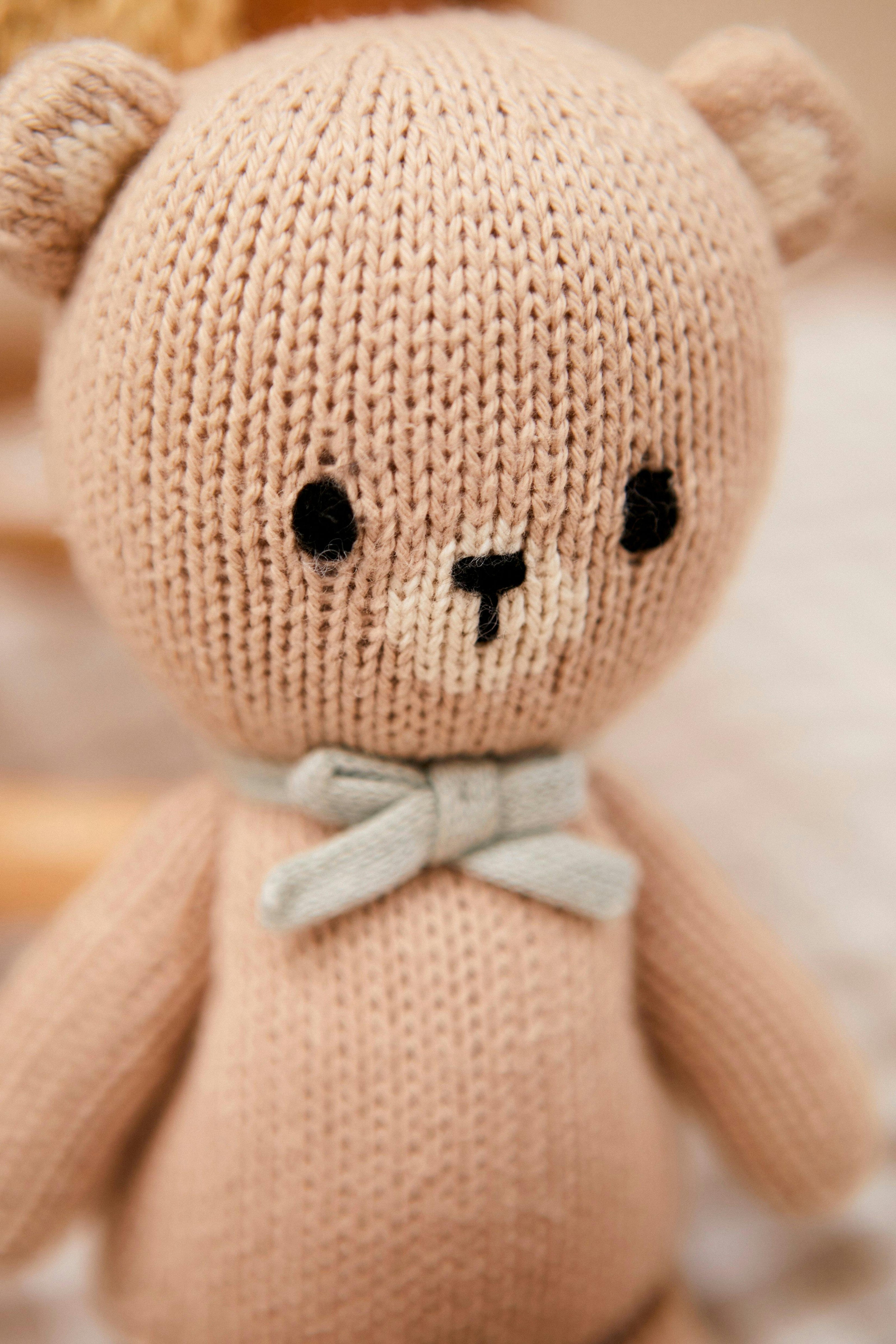 The Baby bear 8.5