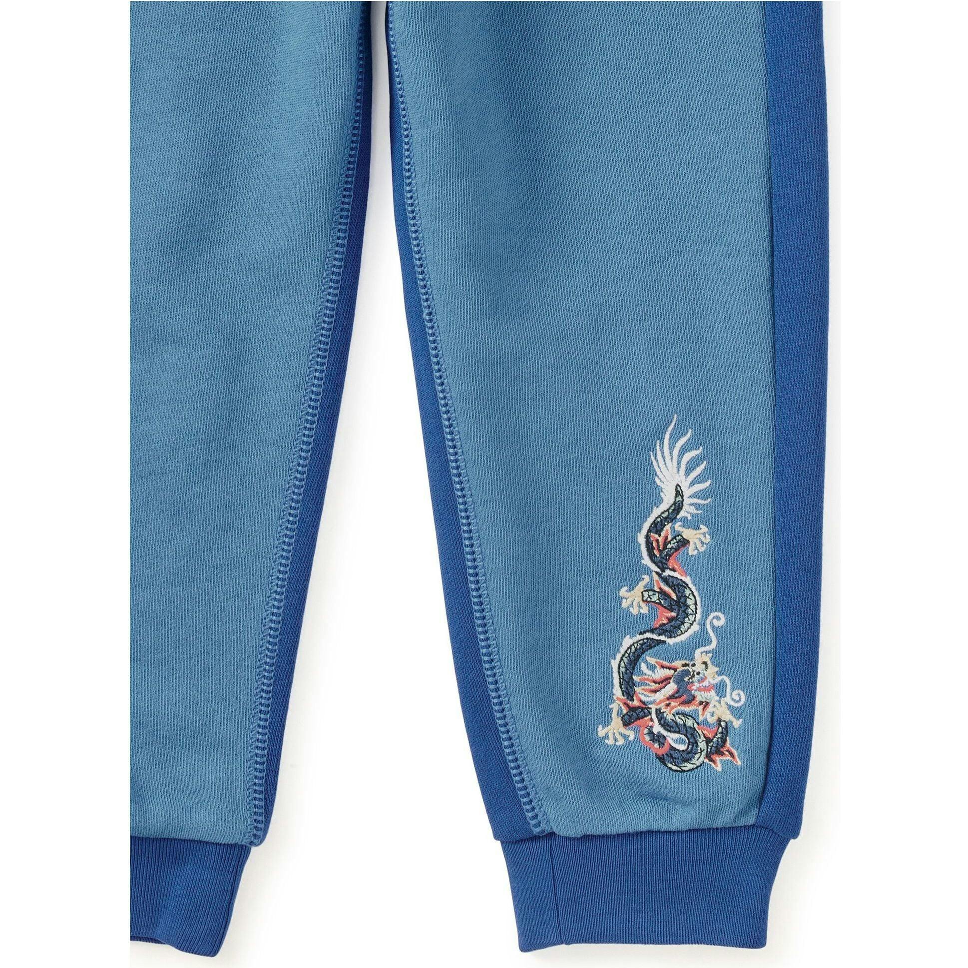Colorblock Joggers, Blue