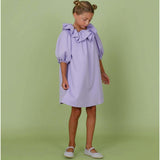 Sara dress (ash pink)