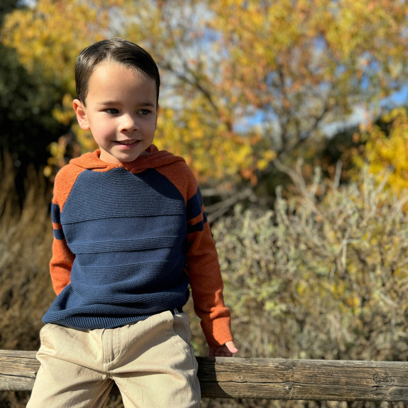 Pedro Orange/Navy Striped Hooded Sweater