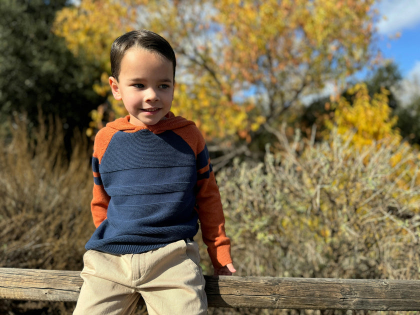 Pedro Orange/Navy Striped Hooded Sweater