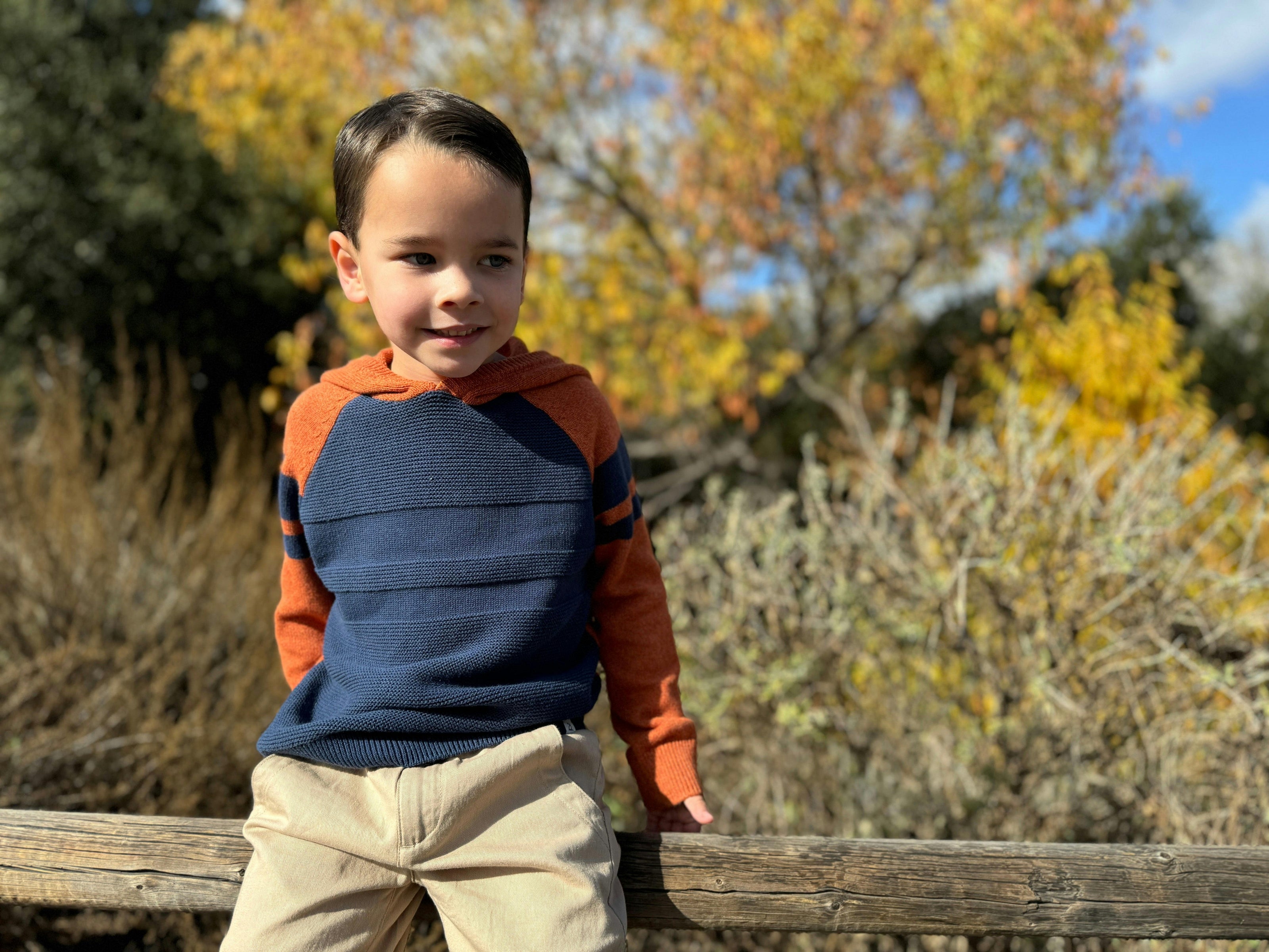 Pedro Orange/Navy Striped Hooded Sweater