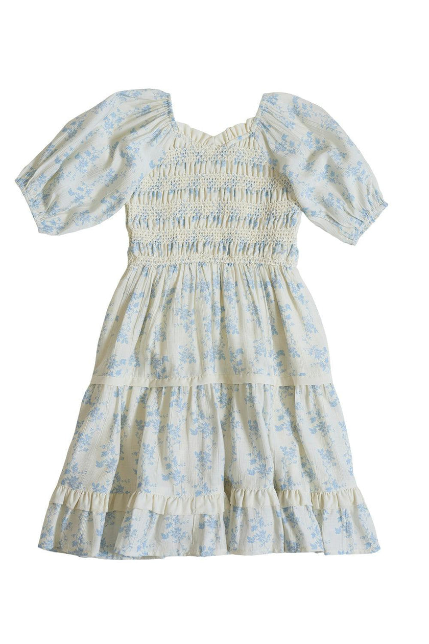 Mini Roselyn Dress in Ivory Porcelain Fleur