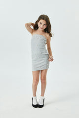 Pearl & Stud Silver Mesh Iridescent Dress
