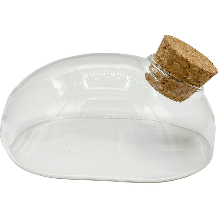 Glass Terrarium: