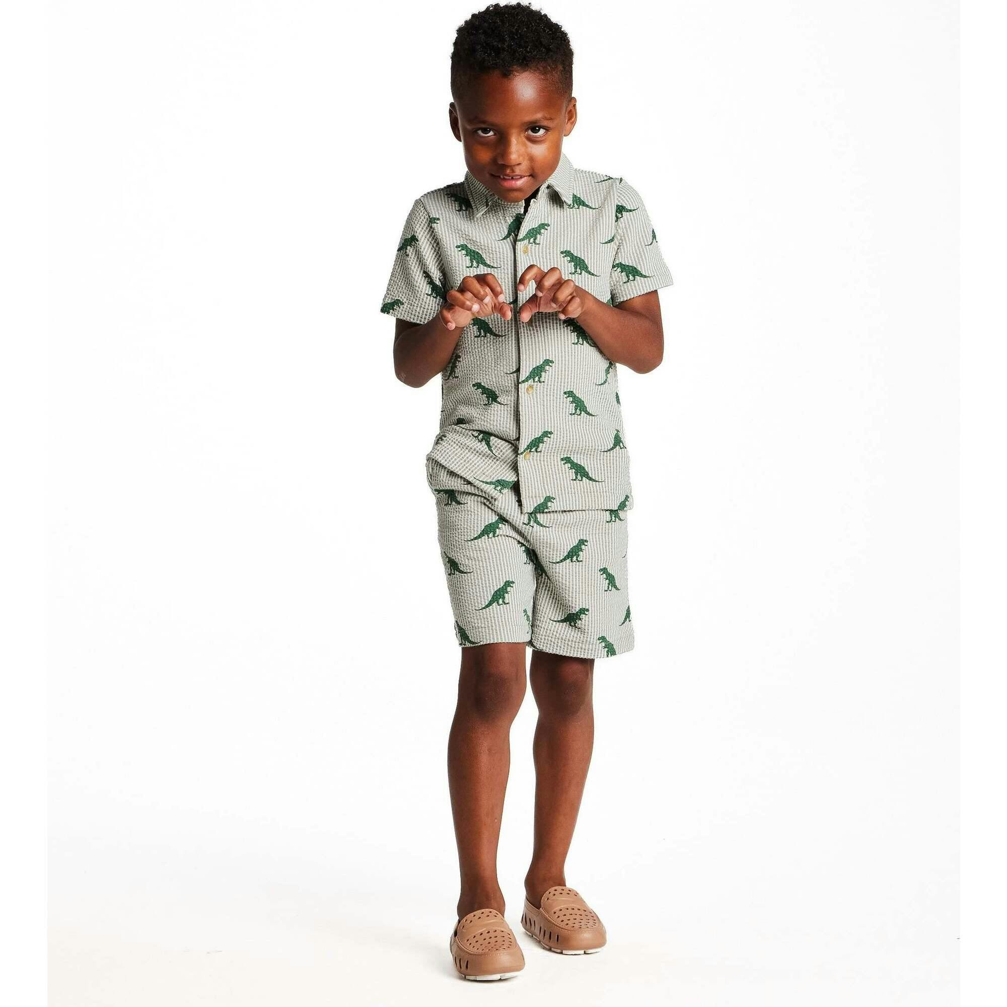 Boys Short Sleeve Cabana Set | Green Stripe Dino