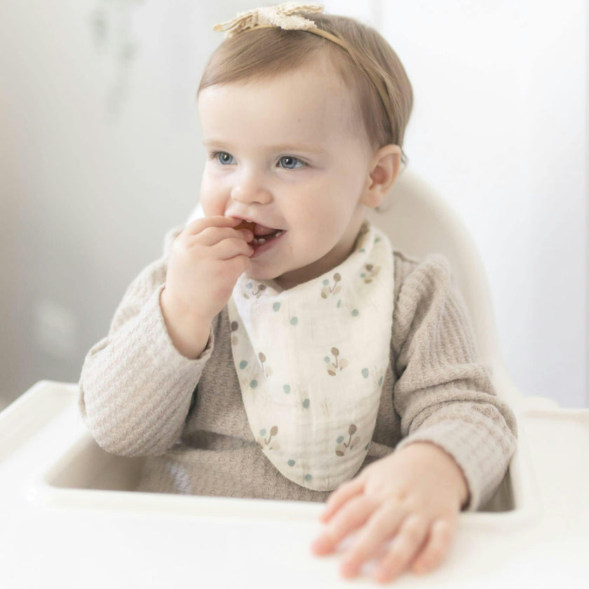 Organic Cotton 3-Piece Poppy Bib Set
