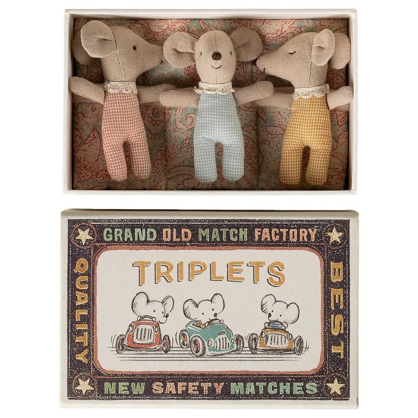 Triplets, Baby mice in matchbox
