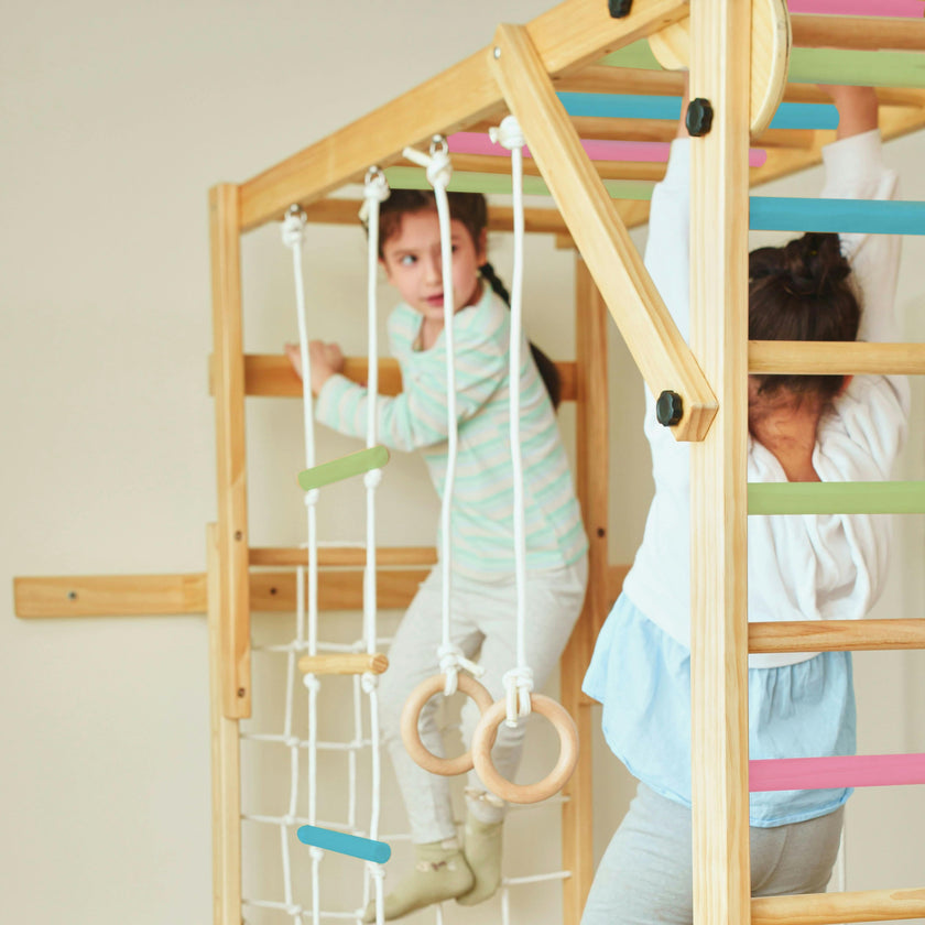 Grove | Foldable Jungle Gym - Wall Mounted