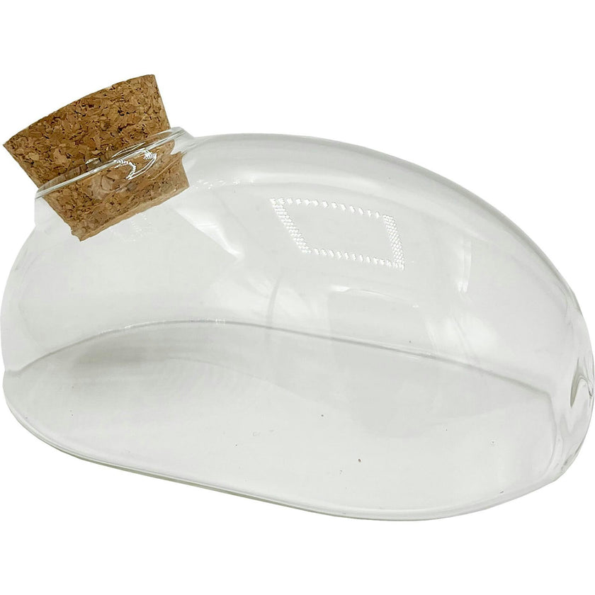Glass Terrarium: