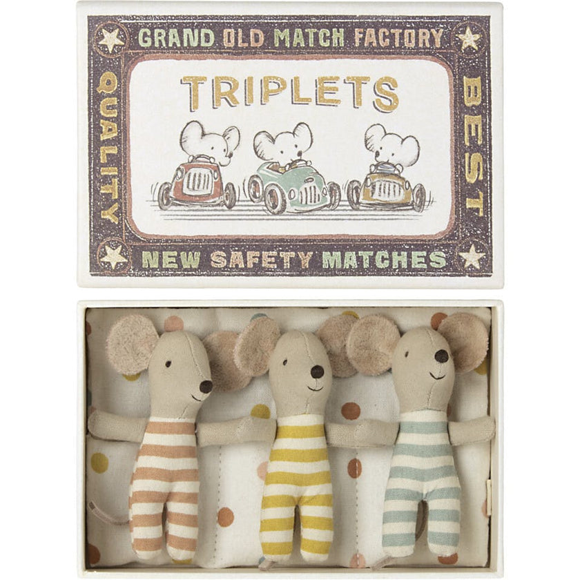 Baby Mouse Triplets in Box
