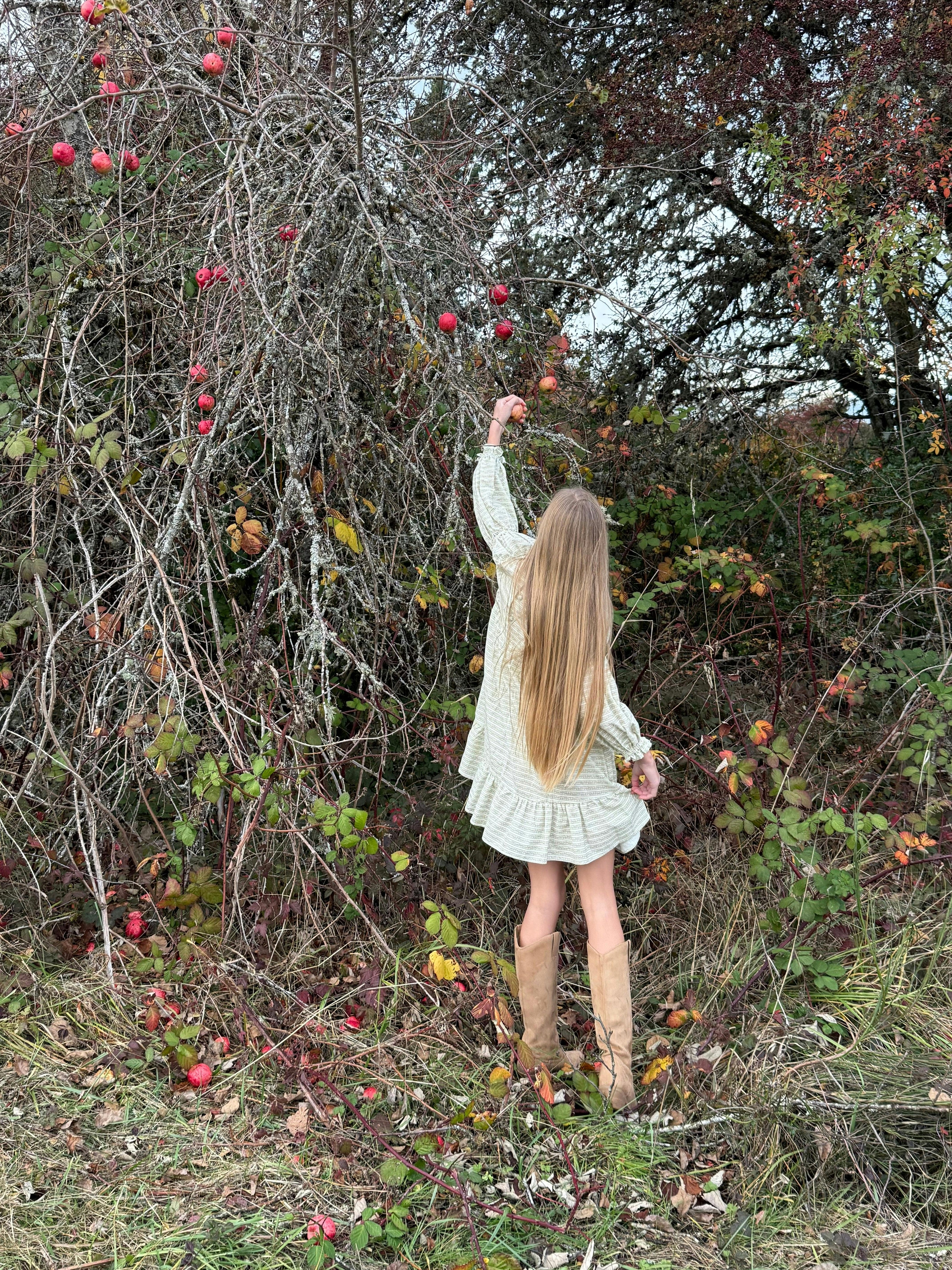 Fiona Dress