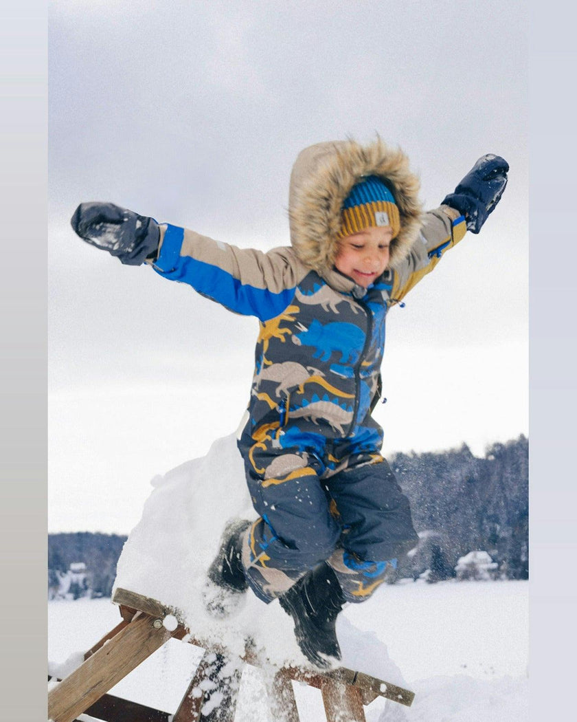 Kids One Piece Play Snowsuit Grey And Blue Dinosaur Print