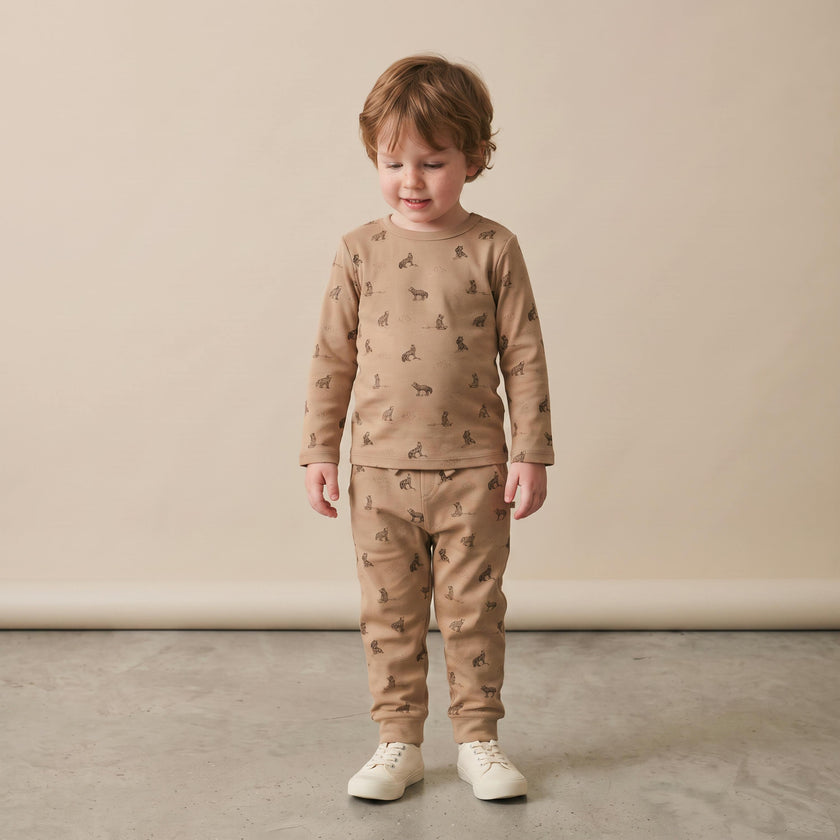 Organic Tee & Pants Set - Woodland Fox