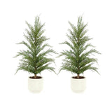 2' Faux Cedar Tree, Set of 2