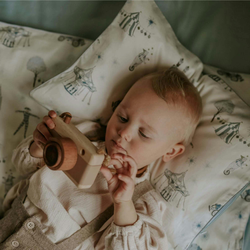 Adventures in Wonderland Toddler Pillow Set, Prints