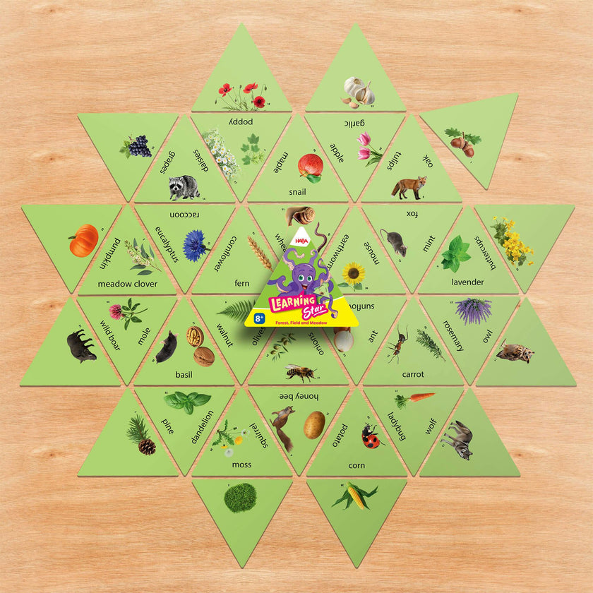 Learning Star Bundle (Set of 3)