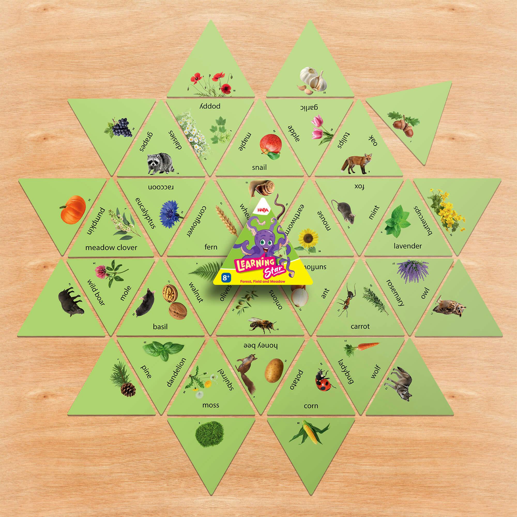 Learning Star Bundle (Set of 3)