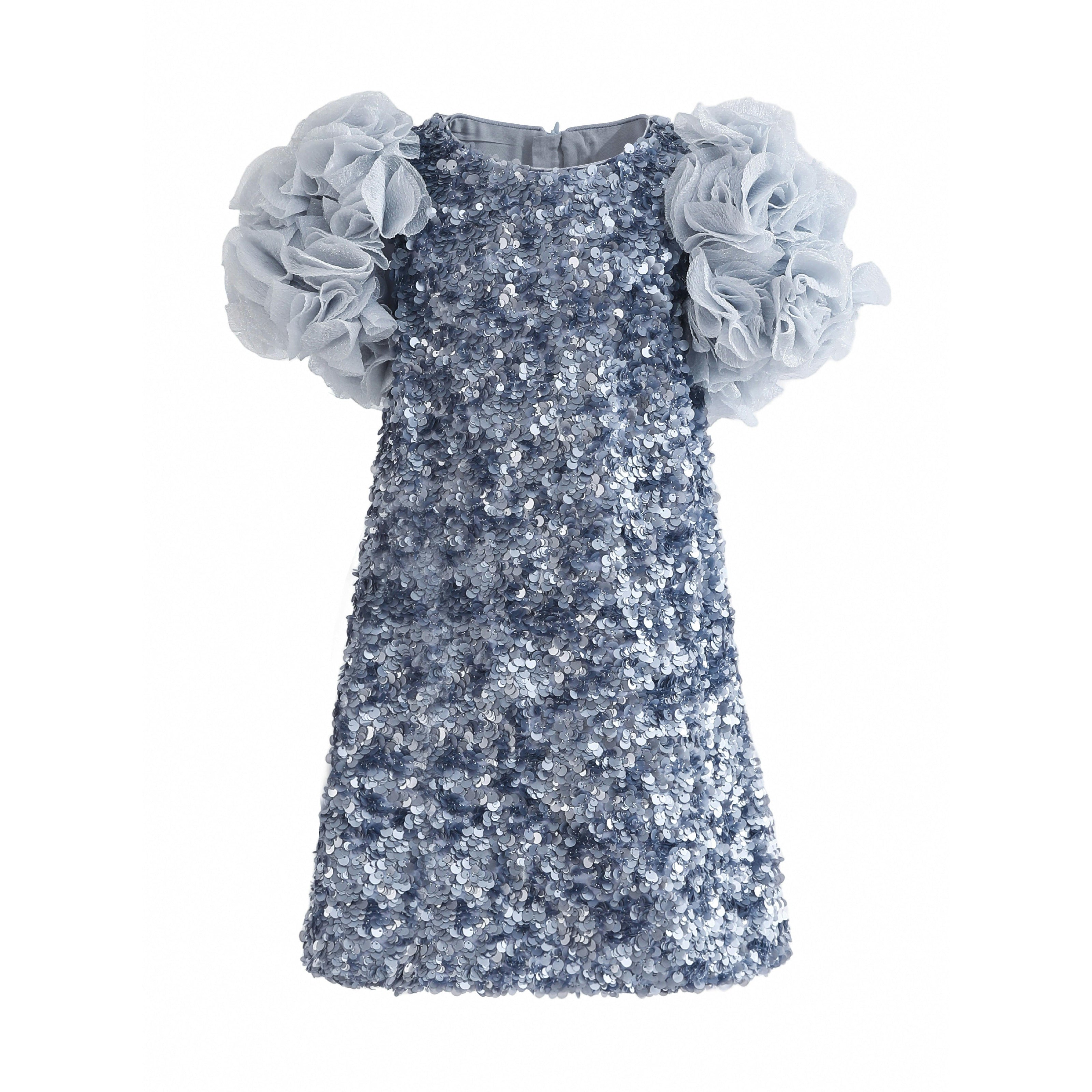 Blue Seliora Floral Embellished Dress