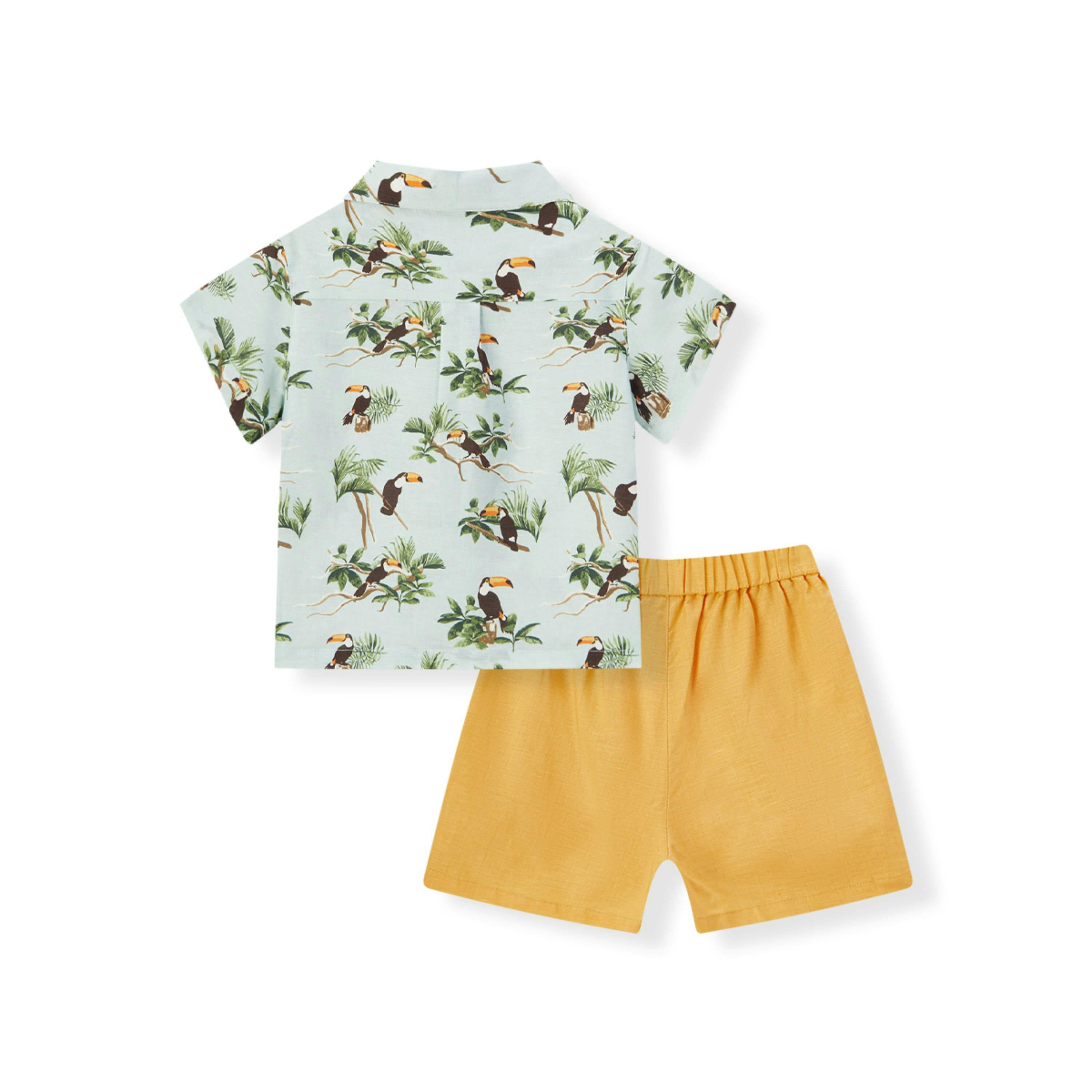 Blue Sky Linen Button-Up Shirt and Shorts Set