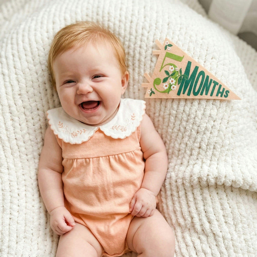Little Artist Petit Milestone Pennants