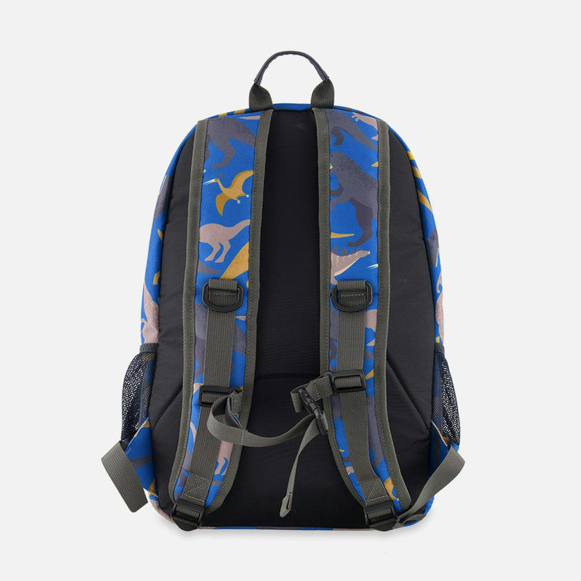 Little Boy Dinosaur Durable Spacious Organized Backpack