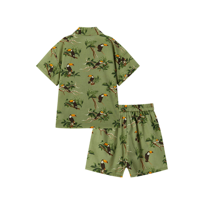 Collar Button-Up Shirt and Shorts Set