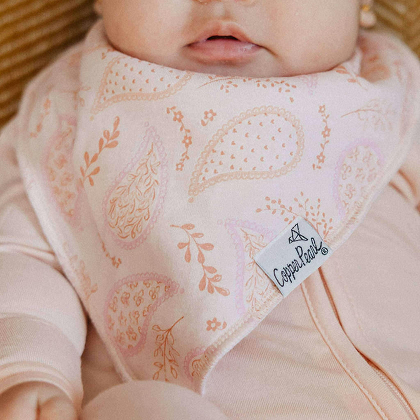 4 Pack Baby Bandana Bibs - Cheyenne