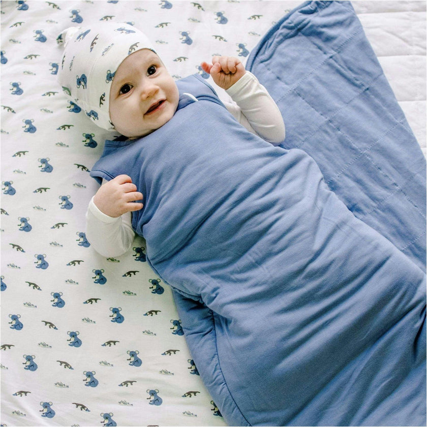 Sleep Bag Slate 1.0