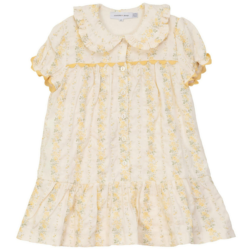 Stripe Floral Print Dress