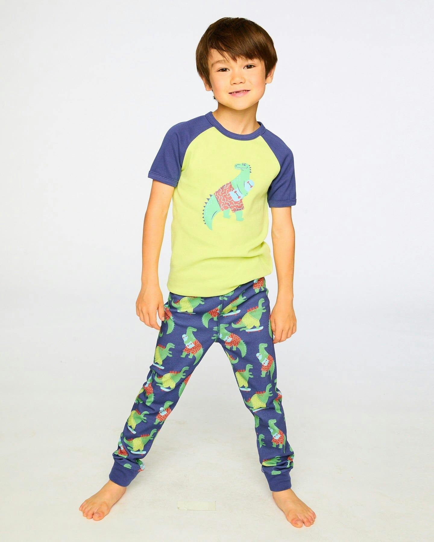 Organic Cotton Two-Piece Pyjama Set Blue Dino Print