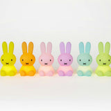 Mr Maria Miffy Colourful Surprise Bundle of Light