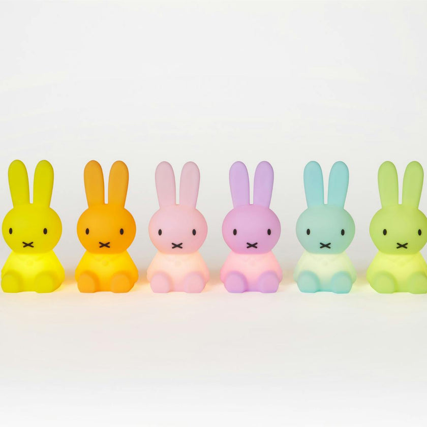Mr Maria Miffy Colourful Surprise Bundle of Light