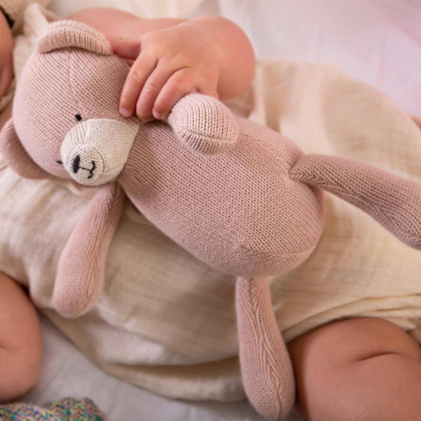 Teddy