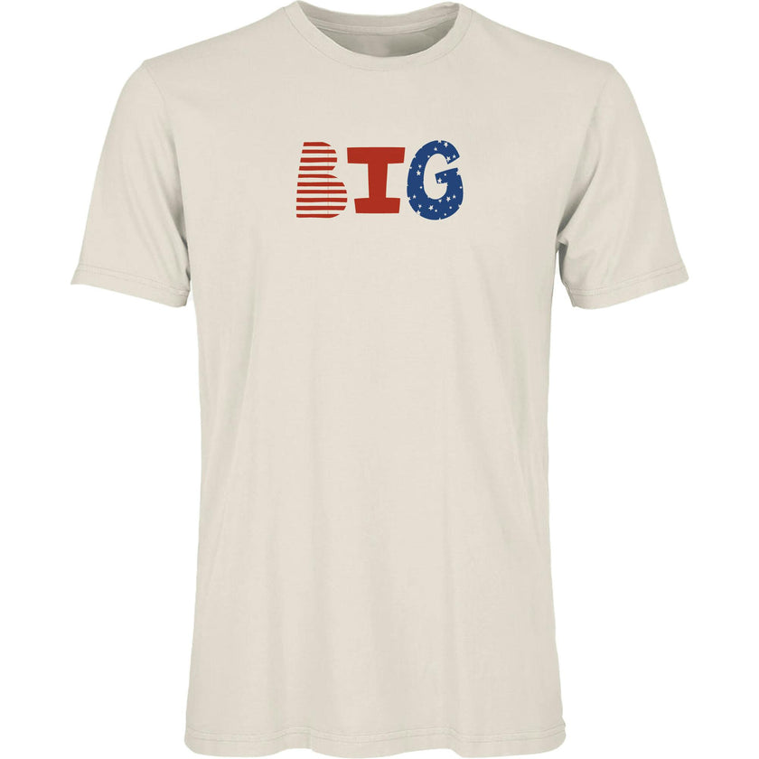 adult graphic tee | big