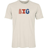 adult graphic tee | big