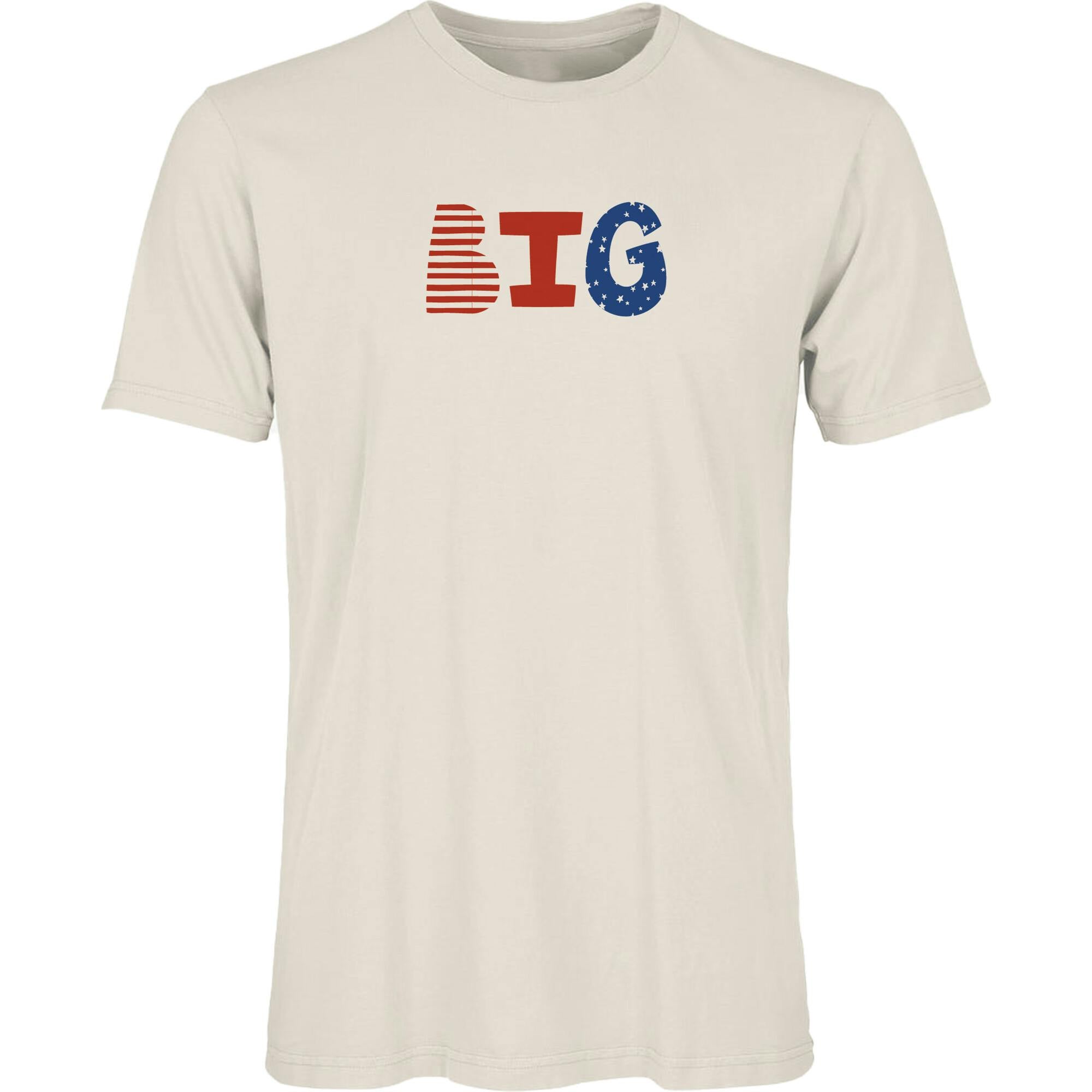 adult graphic tee | big