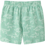 Boys Printed Henley Set | Green Dino