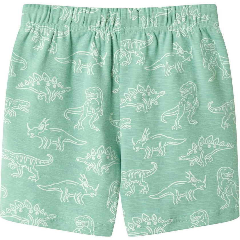 Boys Printed Henley Set | Green Dino