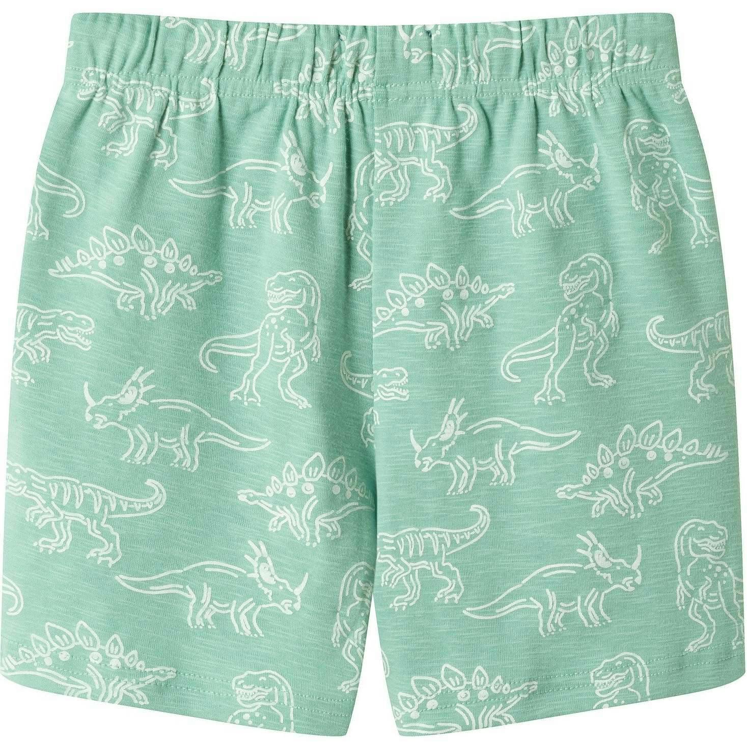 Boys Printed Henley Set | Green Dino