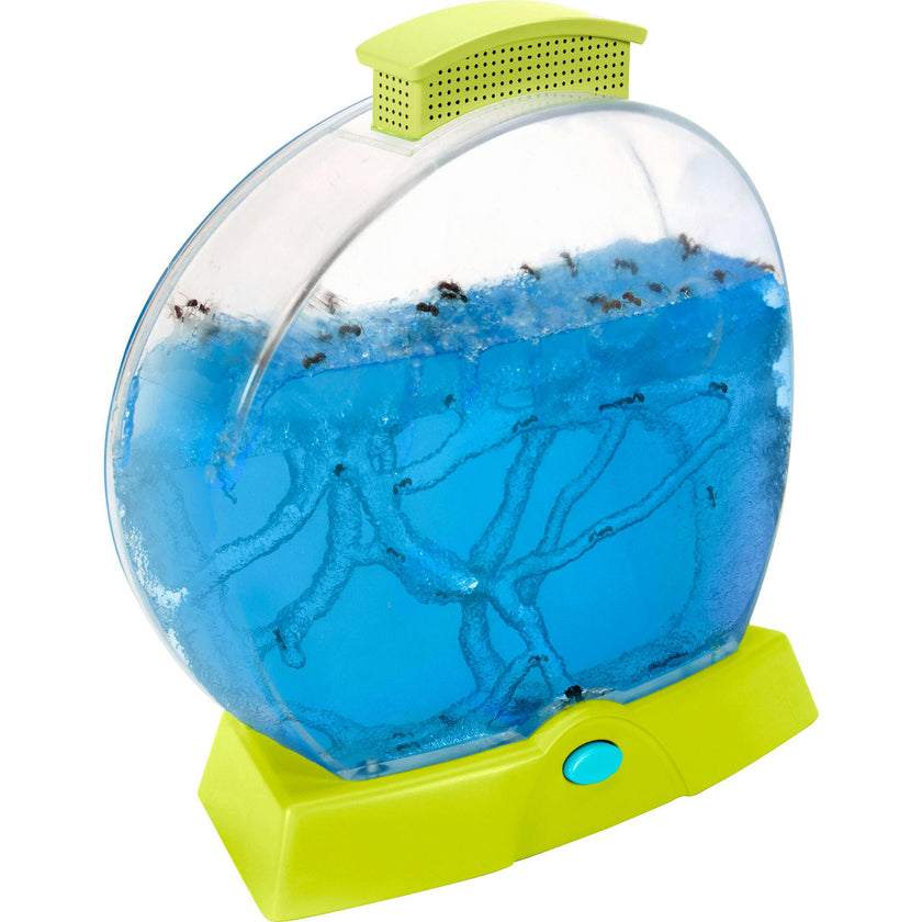 Geosafari® Day 'N' Night Ant Factory